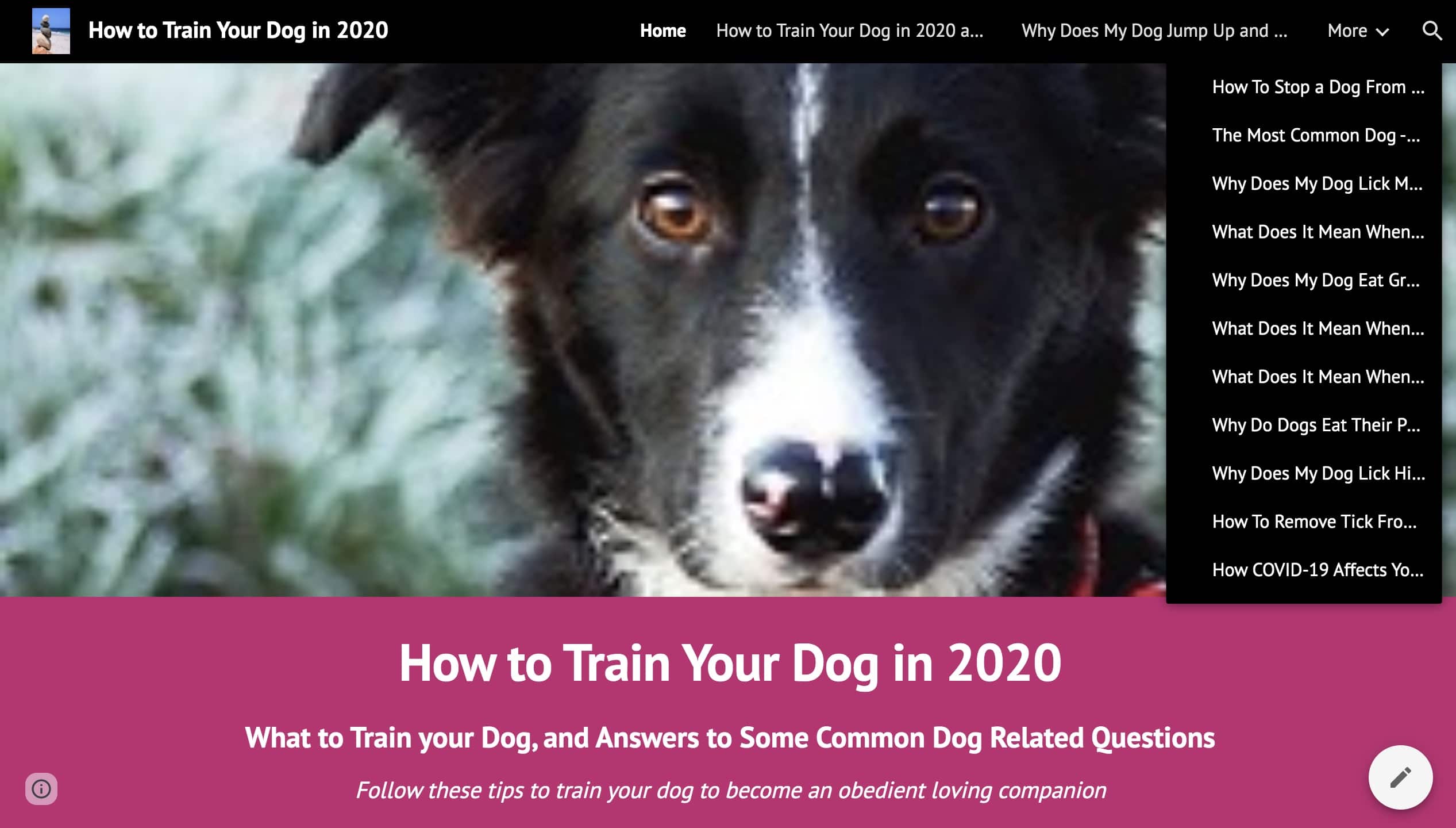How to train Your Dog in 2020