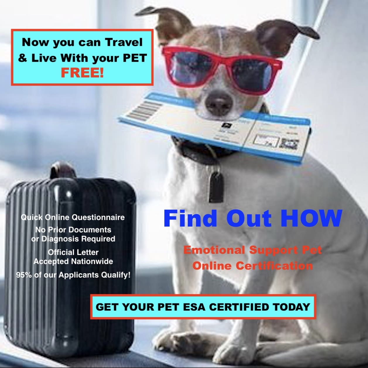 NOW YOU CAN TRAVEL AND LIVE WITH YOUR PET- FREE!