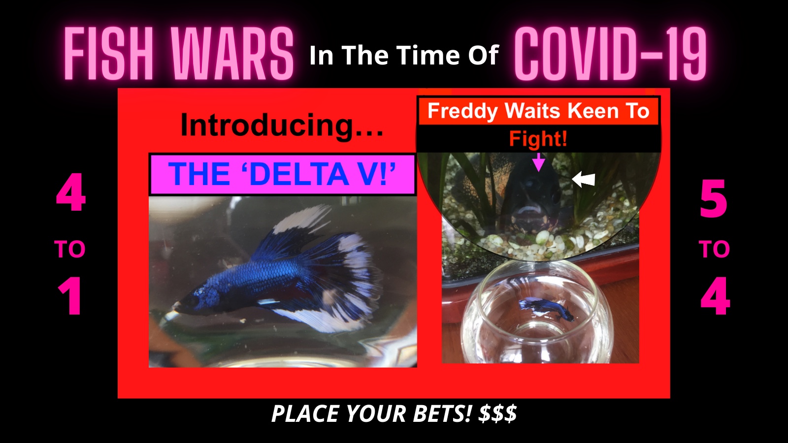 Fish Wars In The Time Of COVID19 PART 3 Introducing ‘The DELTA V!’