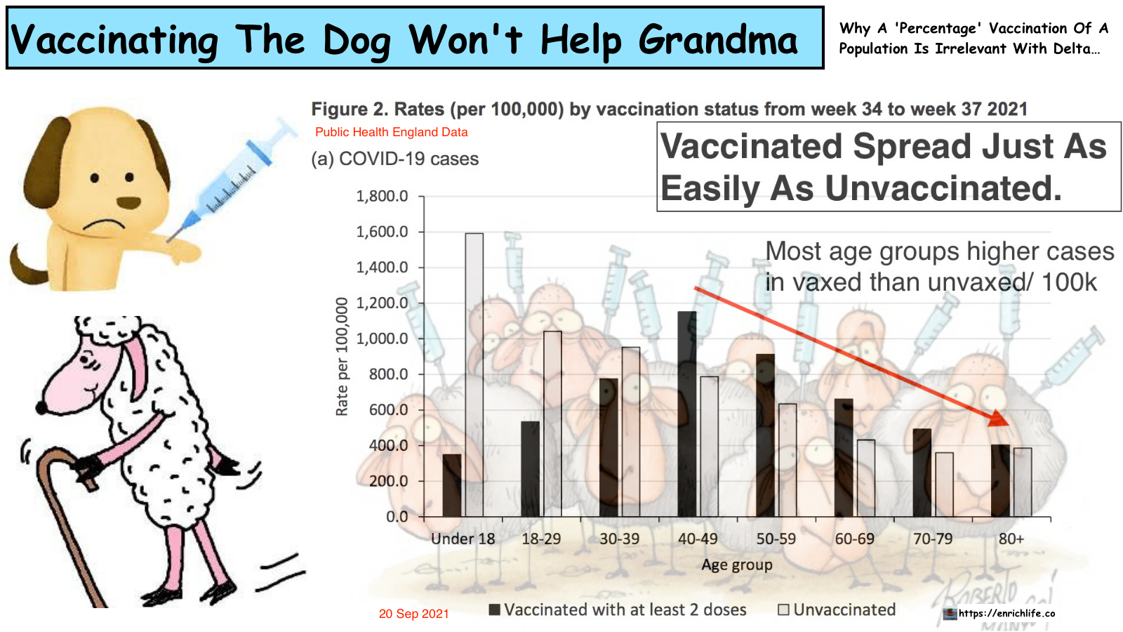 Vaccinating The Dog Won’t Help Grandma – Why A ‘Percentage’ Vaccination Of A Population Is Irrelevant With Delta: