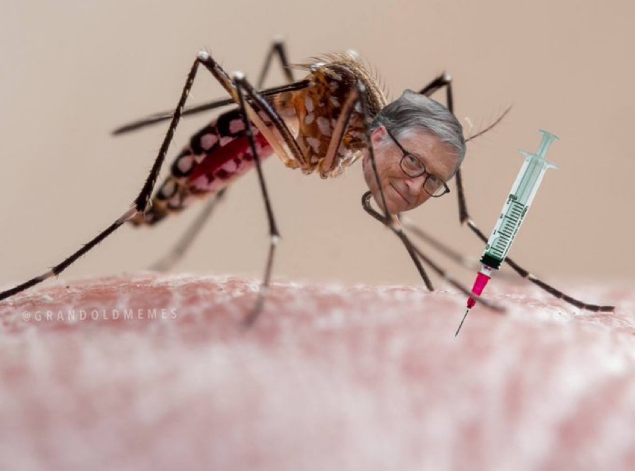 Genetically engineered mosquitoes bad idea