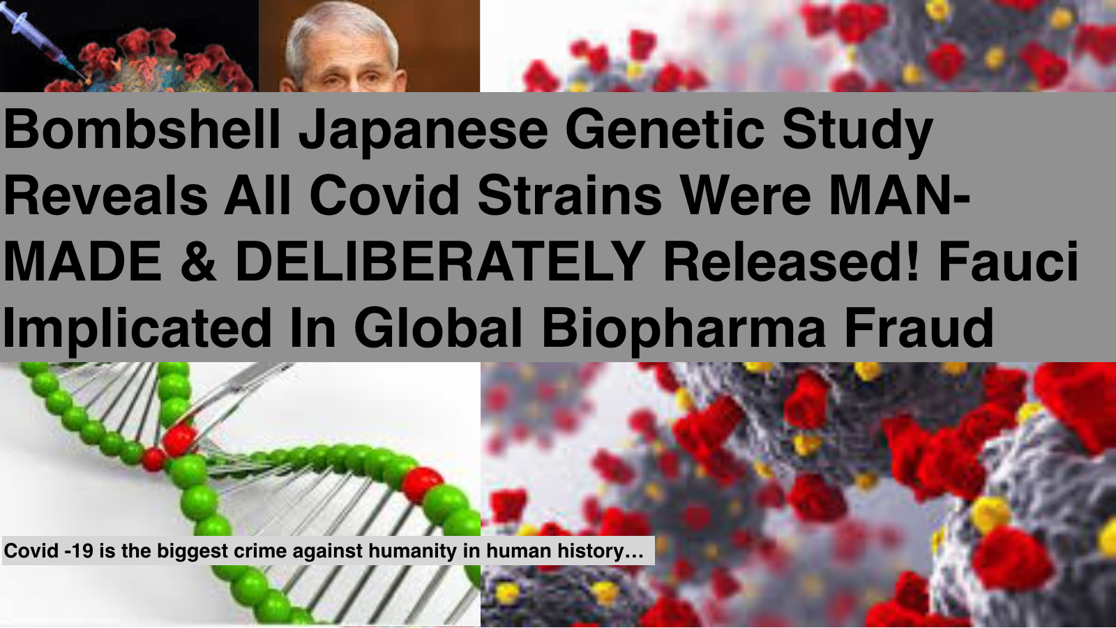 Bombshell Japanese Genetic Study Reveals ALL Covid Strains Were MAN MADE & DELIBERATELY Released! Fauci Implicated In Global Biopharma Fraud