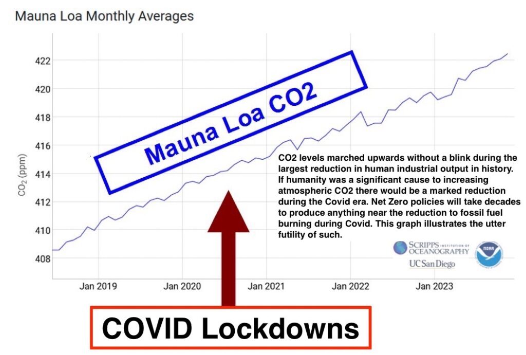 no reduction in CO2 rise with mans contributions at near zero