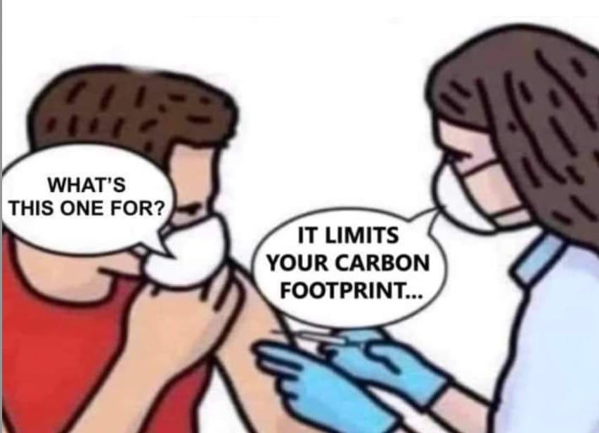 Vaccine reality