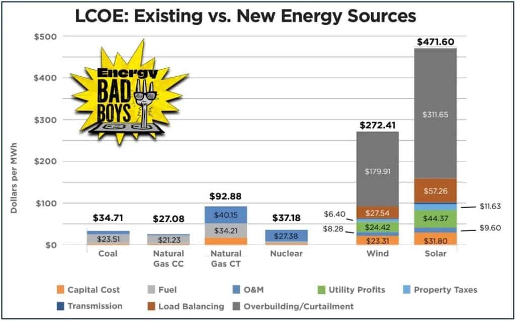 Govt subsidies are the only way to enable the transfer to the totally inefficient ‘green’ energy net zero fantasy