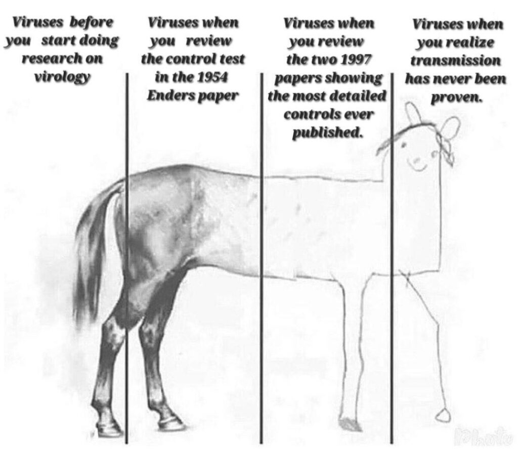 virus theory