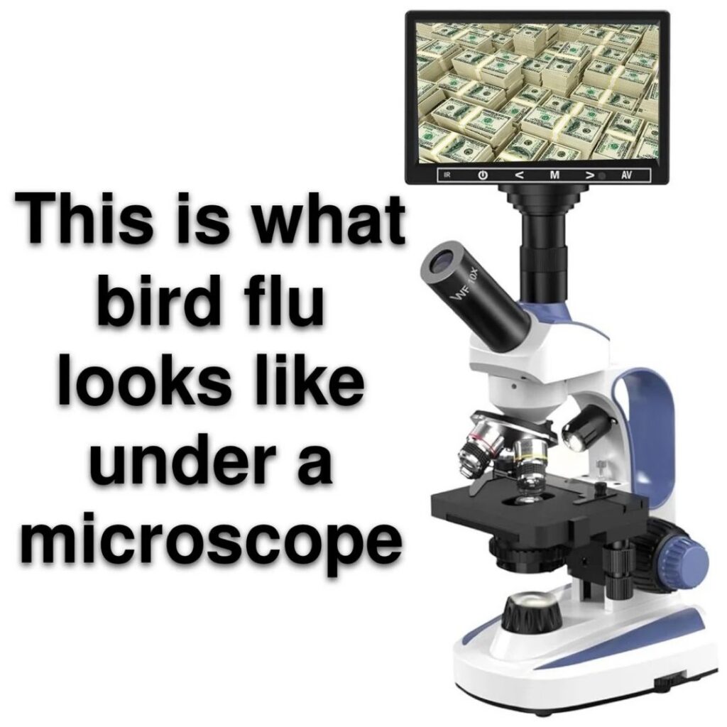 Bird Flu hoax