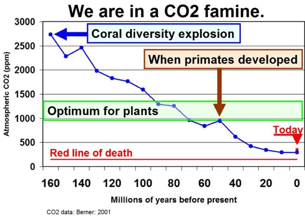 CO2 Famine