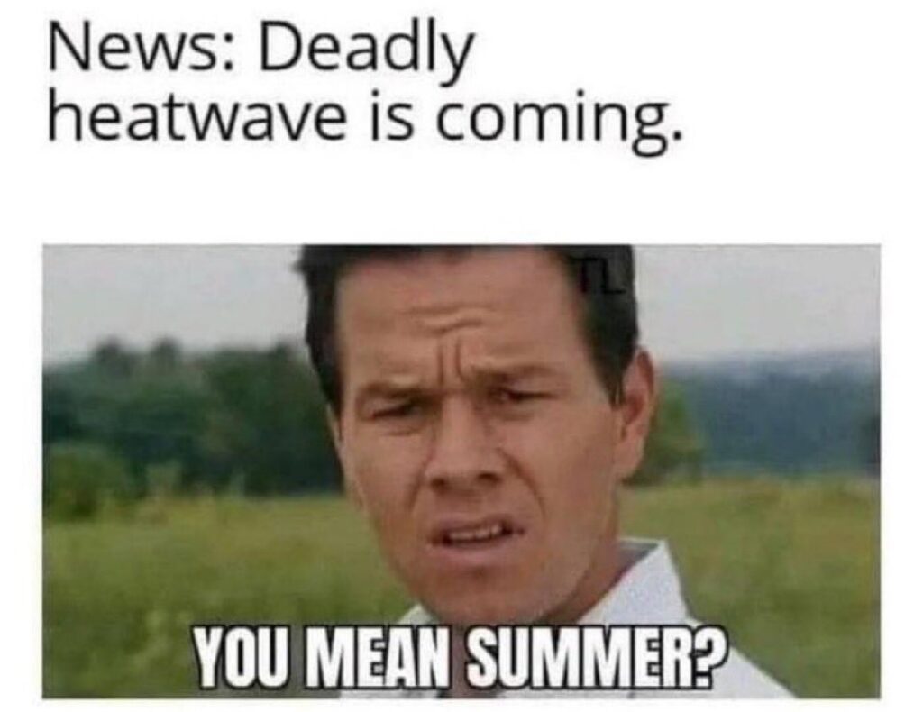 Climate Change fraud