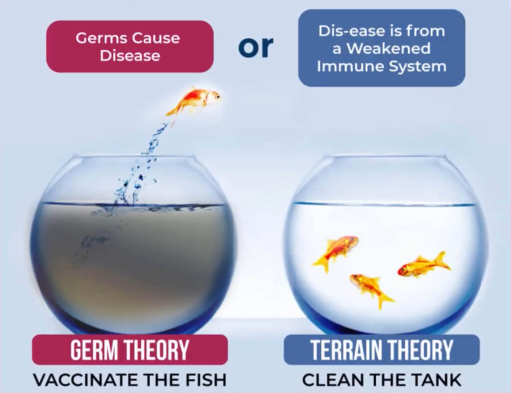 Terrain Theory versus Germ Theory
