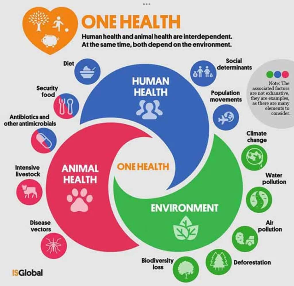 One Health BS