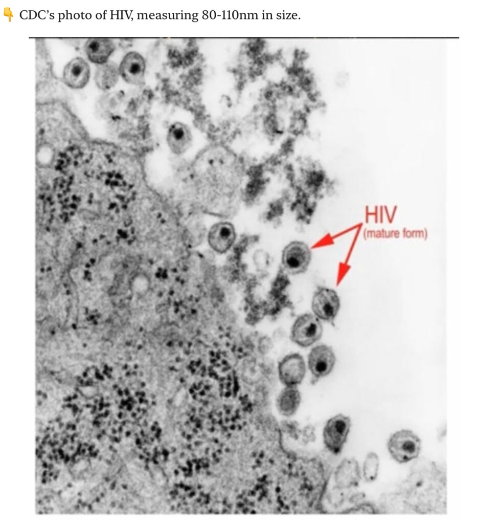 Virology pseudoscience