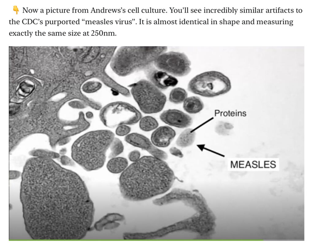 Virology pseudoscience