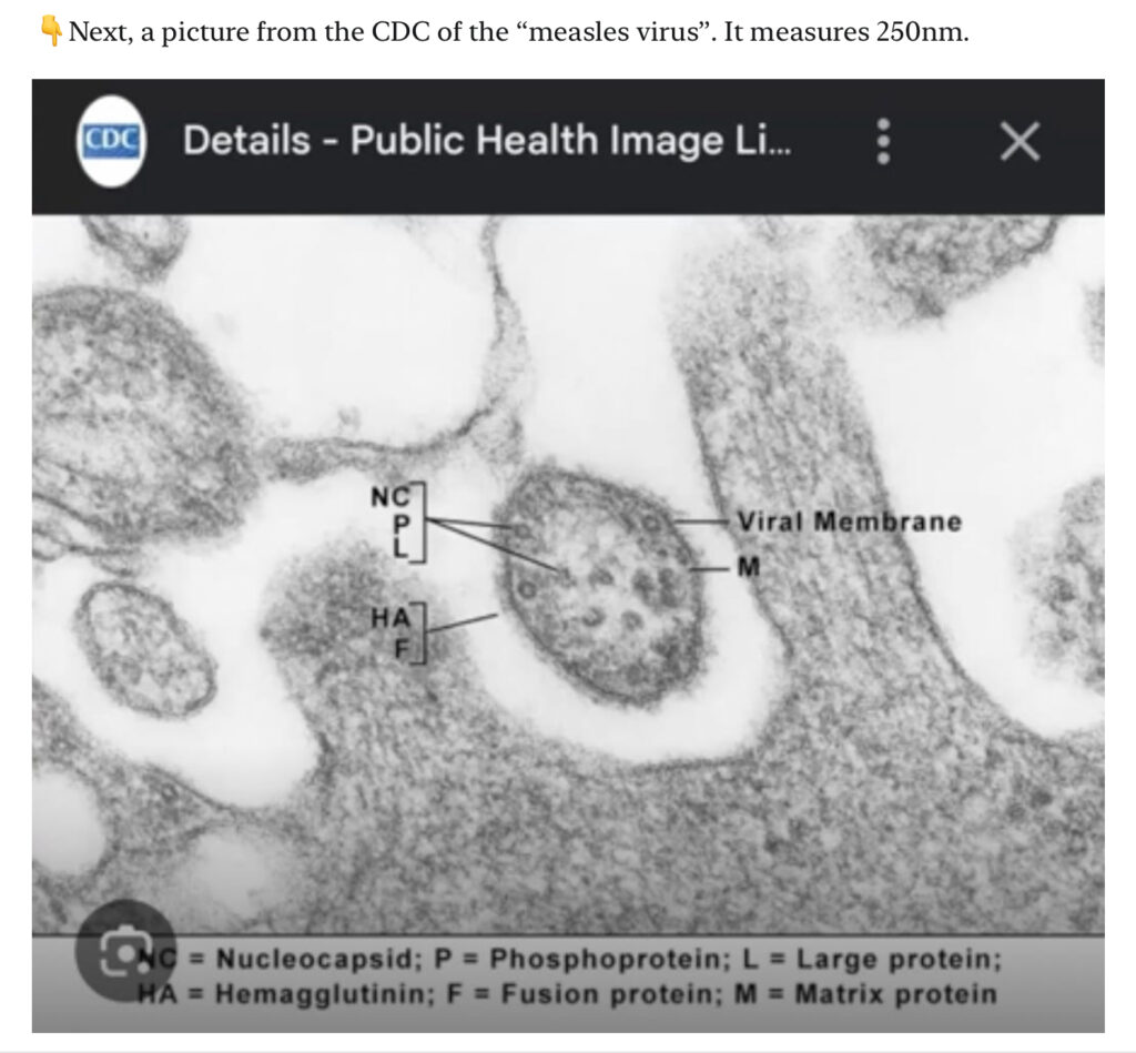 Virology pseudoscience