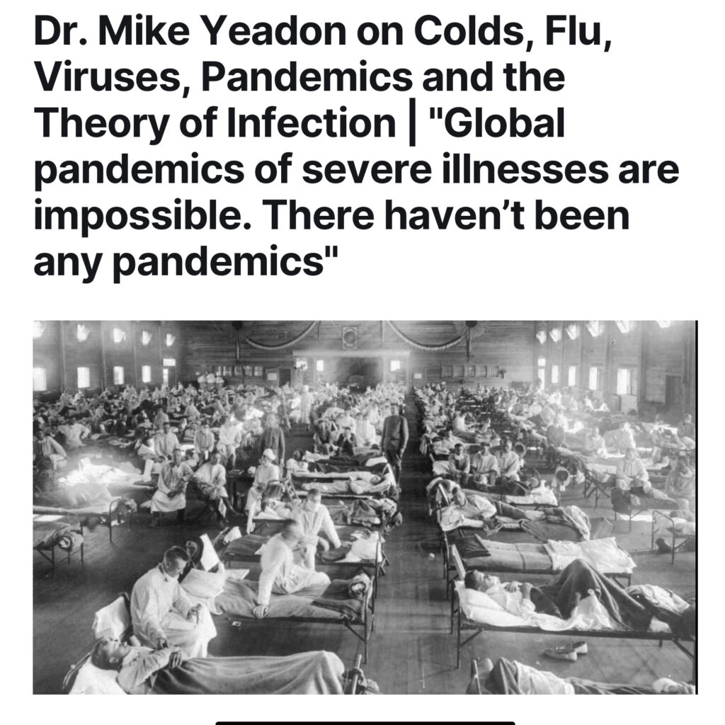 Viruses cannot cause global pandemics