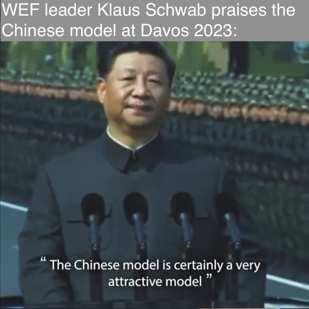 Chinese model is Mr Globals Dream