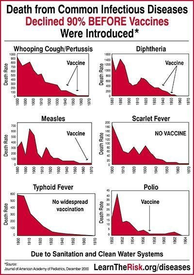 Vaccine no contribution