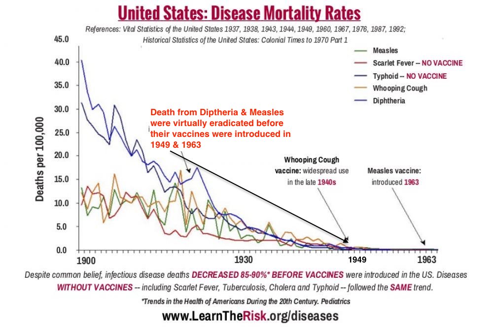 Vaccines didn't cause the decline in childhood deaths - sanitation & nutrition did