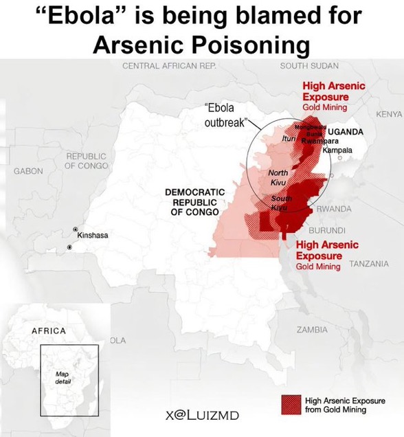 Ebola is likely arsenic poisoning