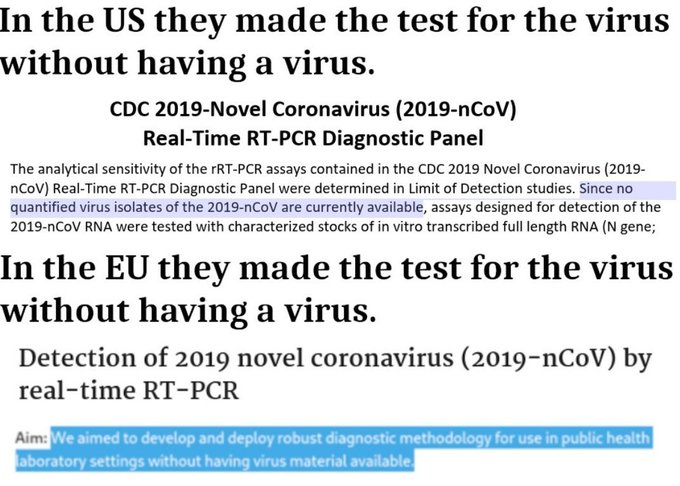 PCR test for covid was made from a computer model not a virus