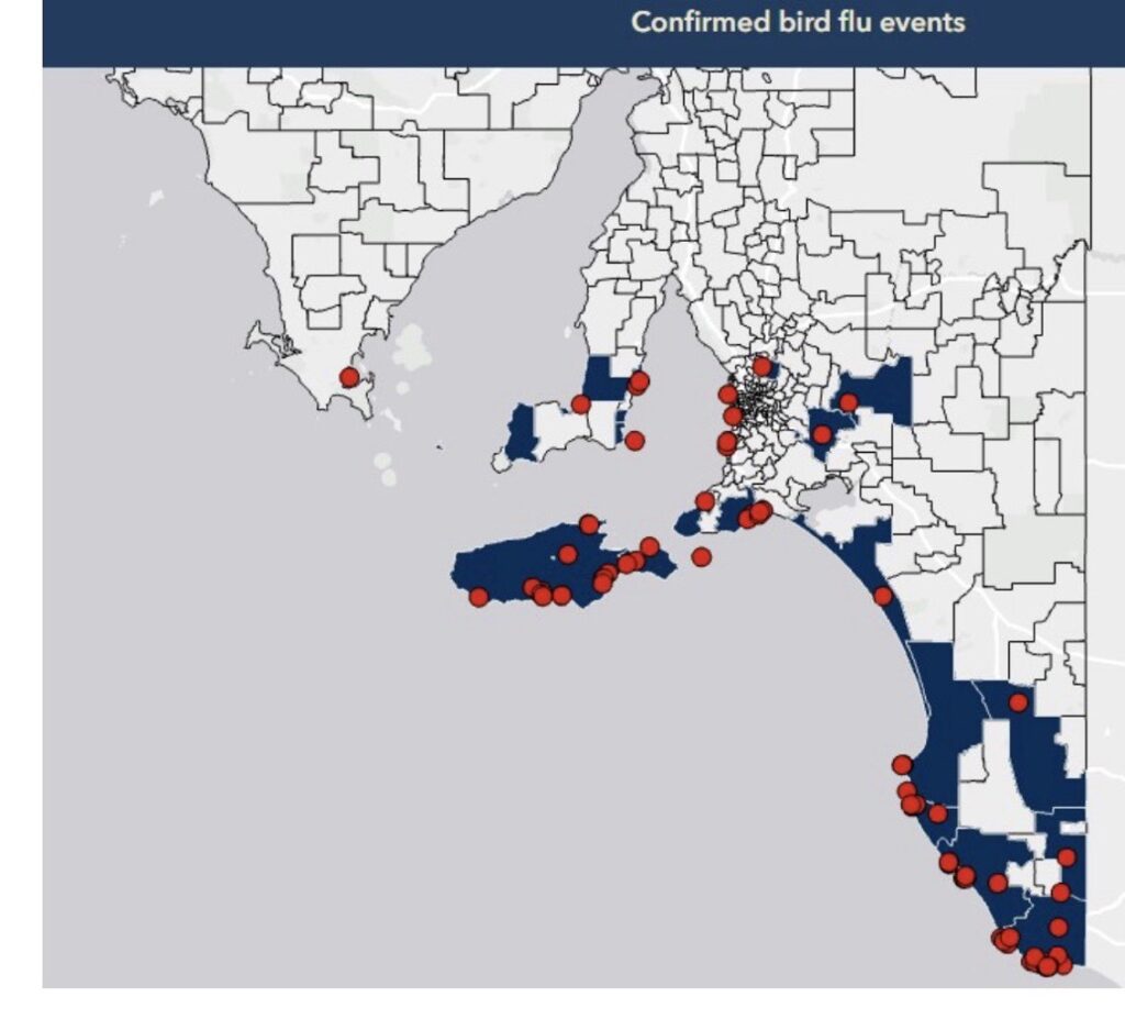 Birds die from toxic bloom algae (Avian Botulism poisoning) & 'Bird Flu' is falsely diagnosed by PCR as propaganda