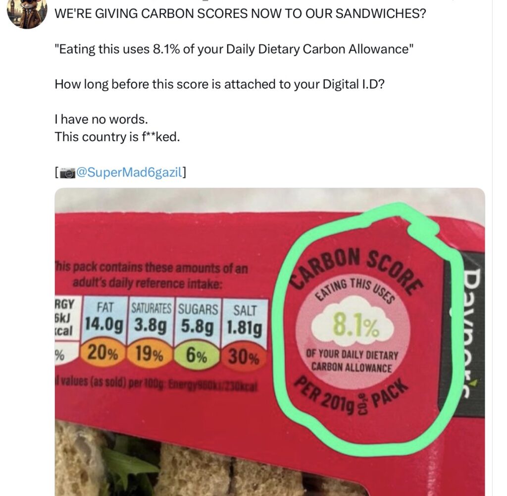 Carbon allowance/ footprint scam